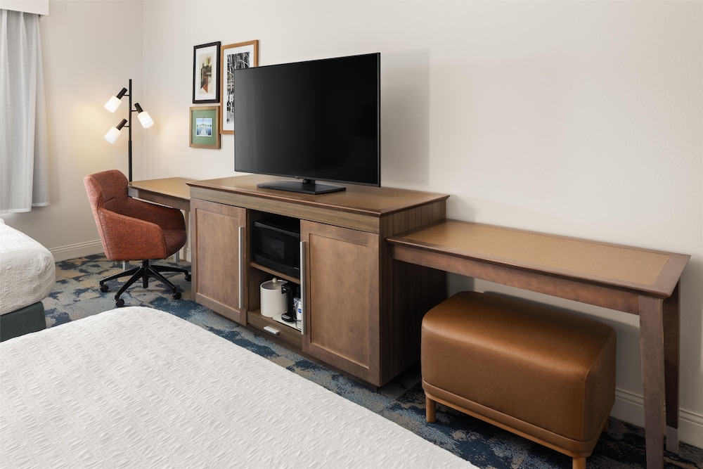 Hampton Inn Minneapolis Roseville - photo 16