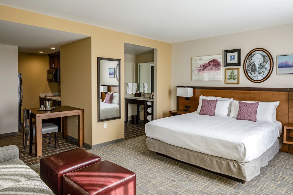 Hotel Madison & Shenandoah Conference Ctr - photo 5