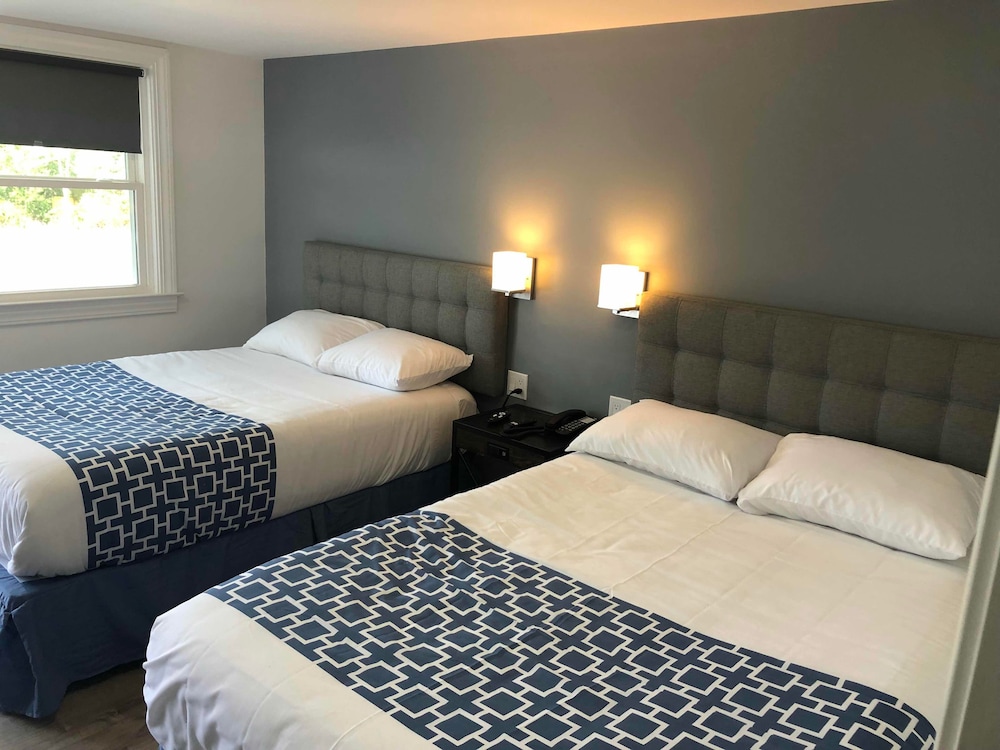 Sand Dollar Inn - photo 3