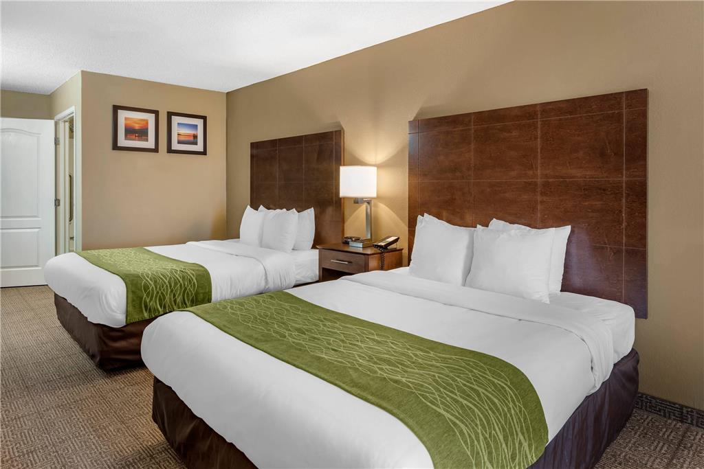Comfort Inn & Suites Bryant Benton - photo 12