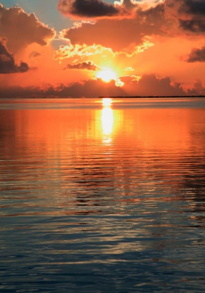 Sip And Sea - photo 24