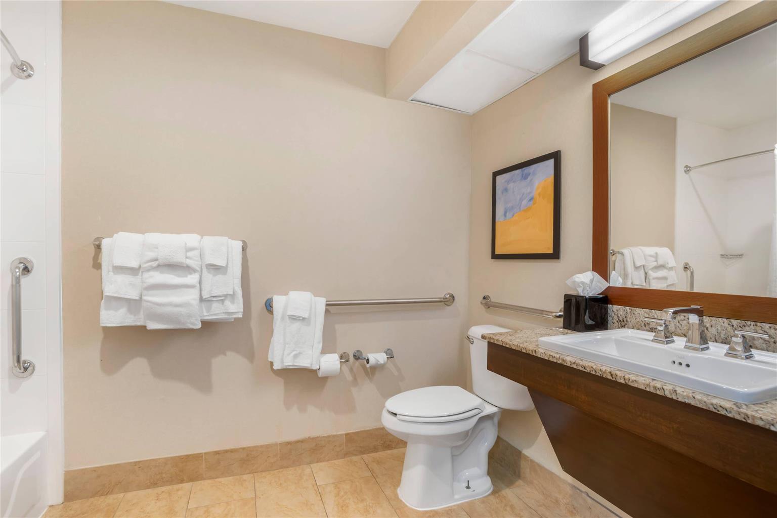Comfort Suites Gastonia Charlotte - photo 7