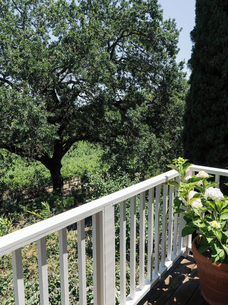 Le Petit Pali St. Helena - photo 7