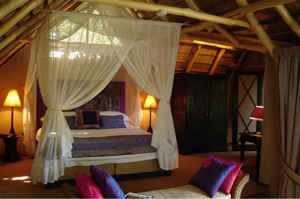 Phantom Forest Eco Reserve in Knysna, South Africa