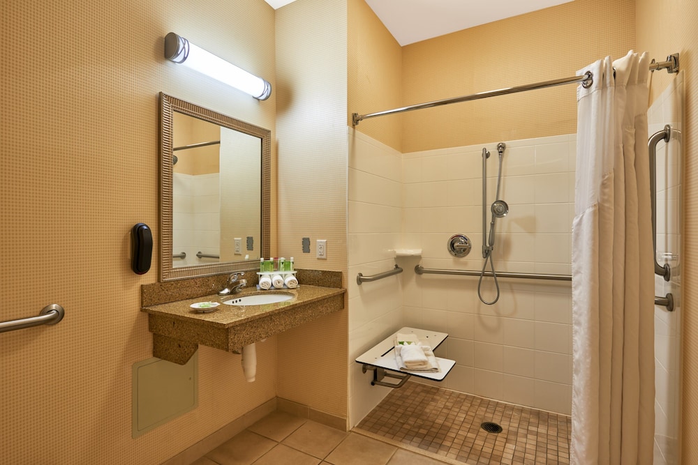 Holiday Inn Express & Suites El Paso Airport Area by IHG - photo 13