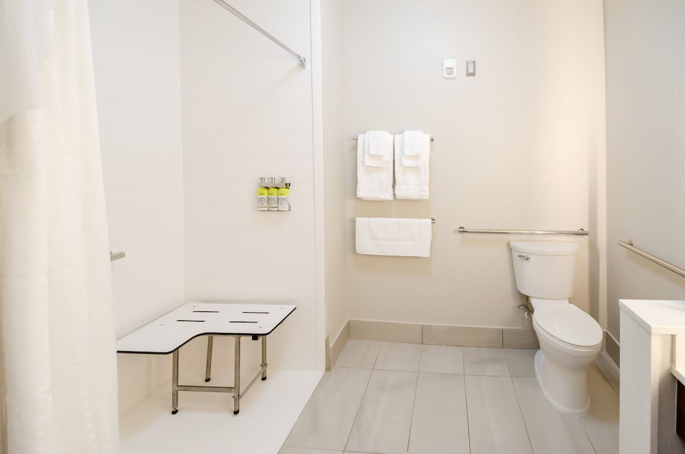 Holiday Inn Express & Suites Taylor by IHG - photo 8