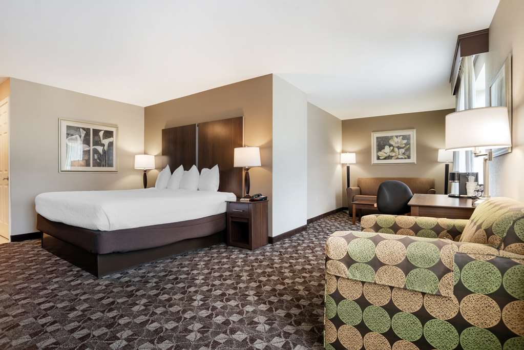 Best Western Plus Oak Mountain Inn - photo 24