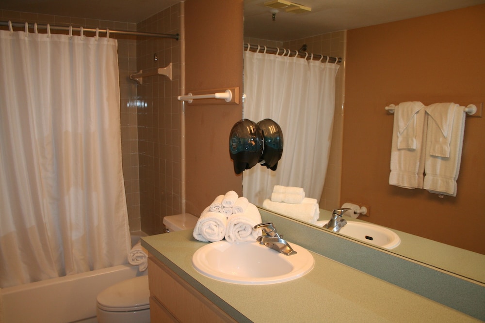 All Seasons Vacation Resort by Liberte' - photo 45