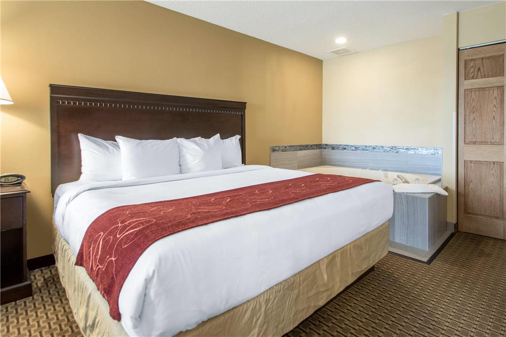 Comfort Suites Wisconsin Dells Area - photo 29