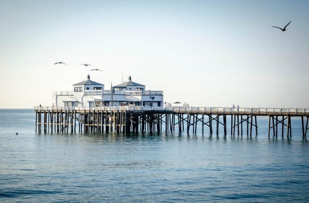 The M Malibu - photo 39