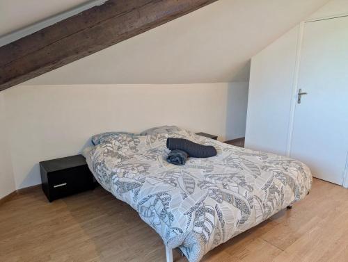 Studio Hyper Centre Au Calme Confort & Equipe - carbon neutral hotel in Grenoble