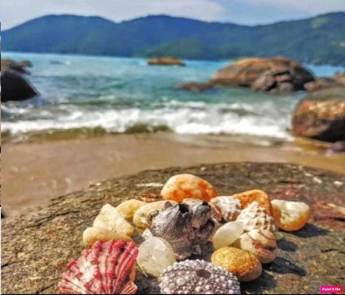 Mar Suites Tenório - last minute hotel in Ubatuba