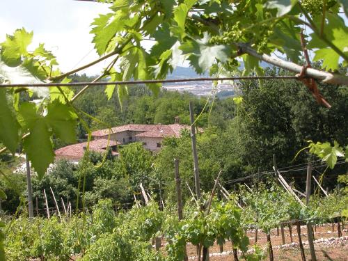 Agriturismo Cà Verde — 4-Star Luxury Hotel in Sant'ambrogio Di Valpollicella, Italy