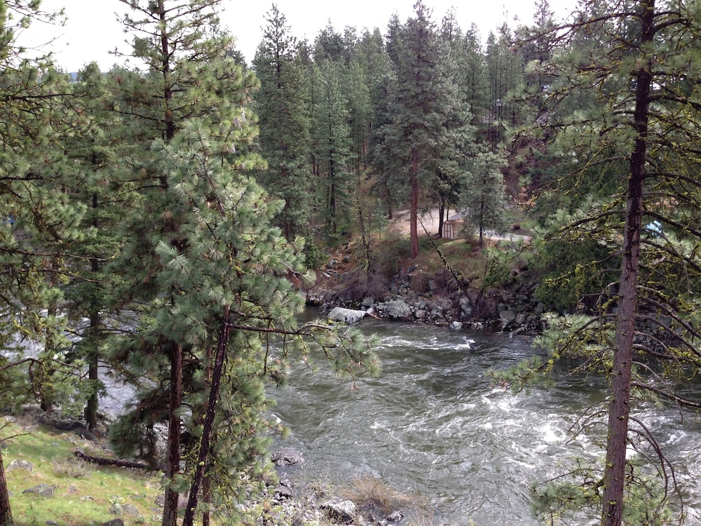Alpine Rivers Inn - photo 19