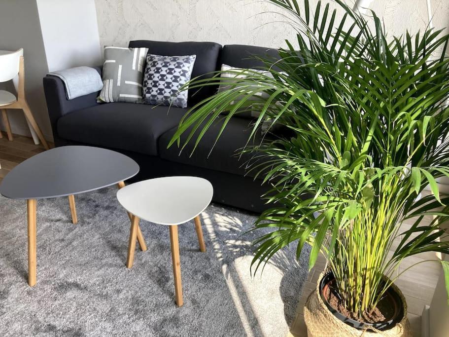 Słoneczny Apartament Z Garazem Przy Parku Kosciuszki in Katowice, Poland