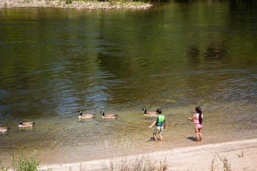Ponderosa RV Resort - photo 12