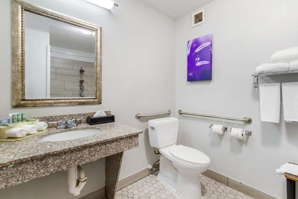 Best Western Medical Center North Inn & Suites Near Six Flags - photo 35