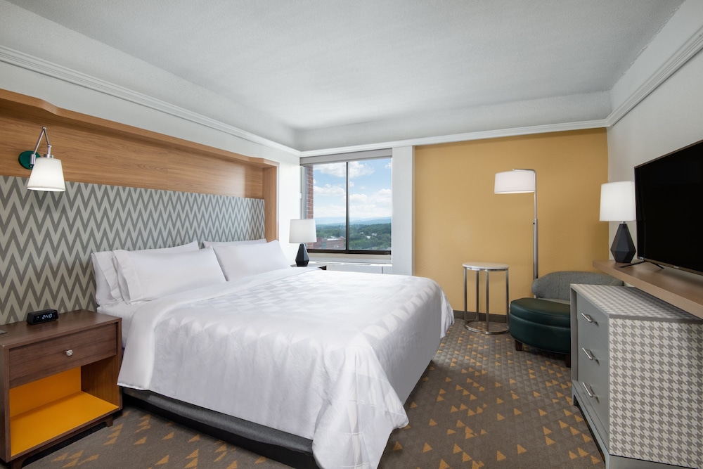Holiday Inn & Suites Pittsfield Berkshires by IHG - photo 9