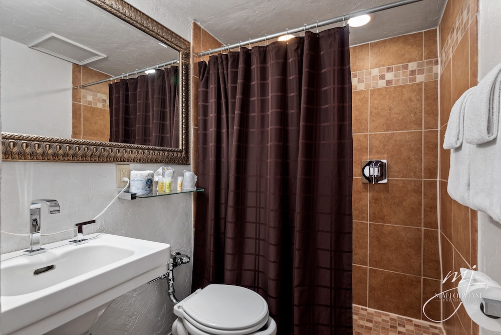 Hotel Seville - photo 39