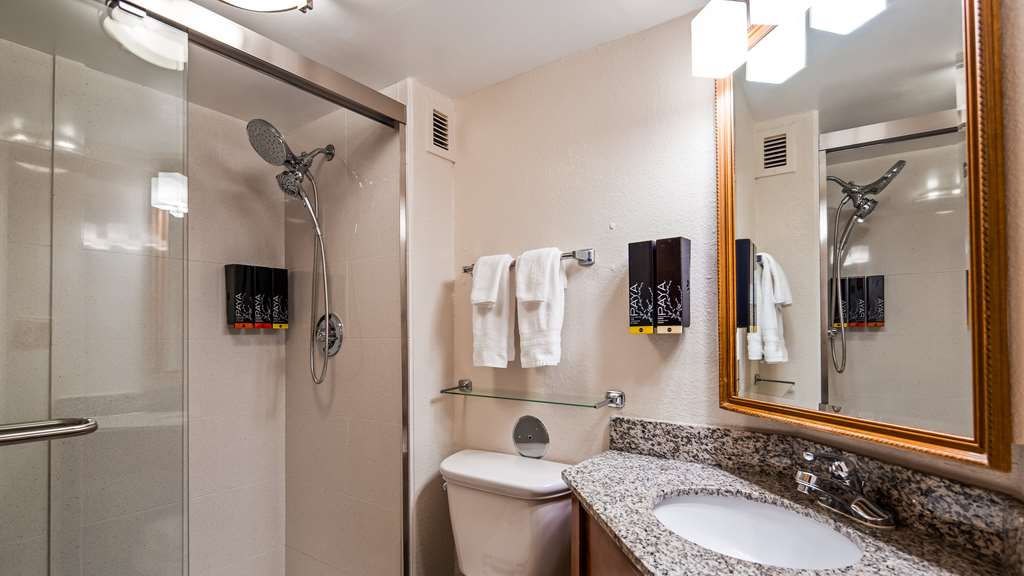 Best Western Plus Richmond Airport Hotel - photo 29
