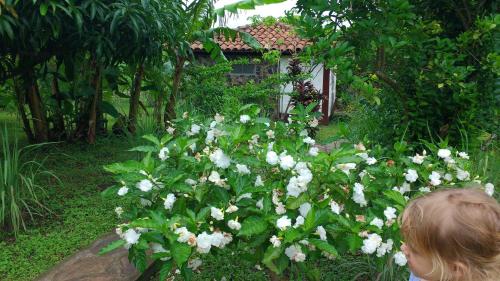 Finca Mystica - last minute hotel in Managua