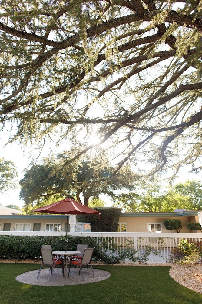 El Bonita Motel - photo 116