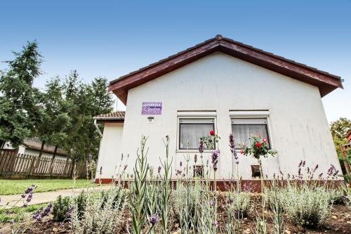 Levendula Apartman Berekfürdő - carbon neutral hotel in Unknown City