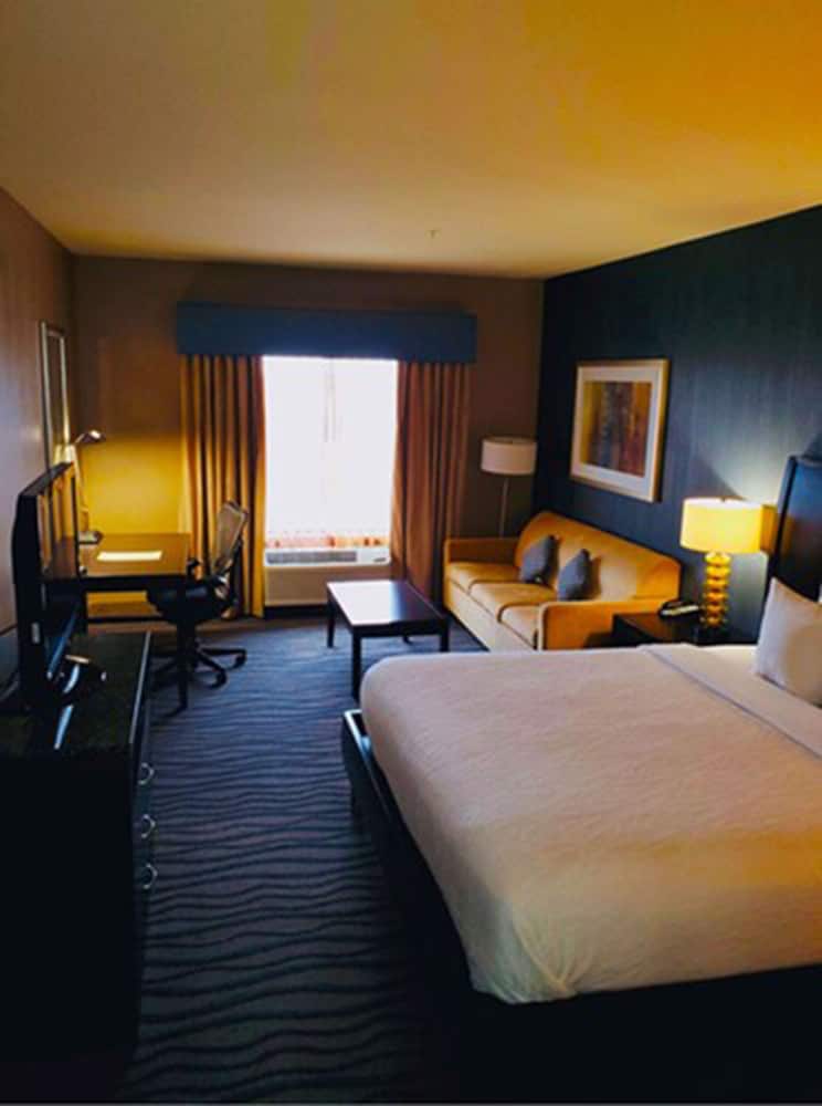 Hilton Garden Inn Fort Worth Alliance Airport - photo 13