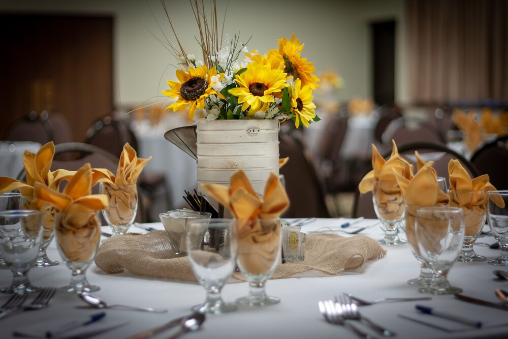 Best Western Wichita North Hotel and Suites - photo 63
