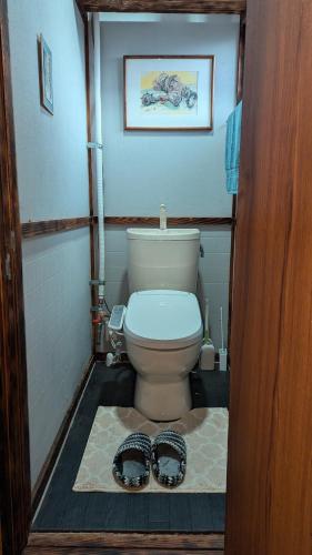 Ainu Lodge — Kamikawa — photo 2