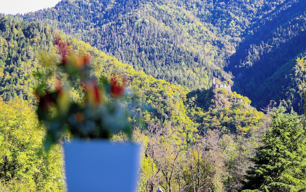 Land view from property