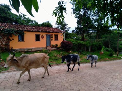 Diamantina Curralinho Extração in Diamantina, Brasil