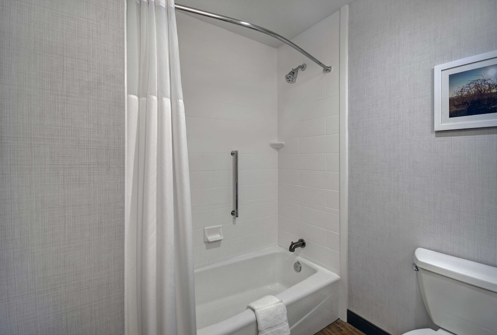 Hampton Inn Midland South - photo 14