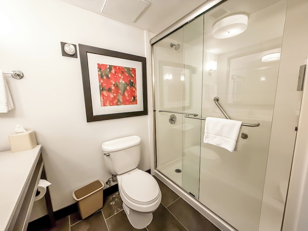 Hilton Garden Inn Gilroy - photo 20