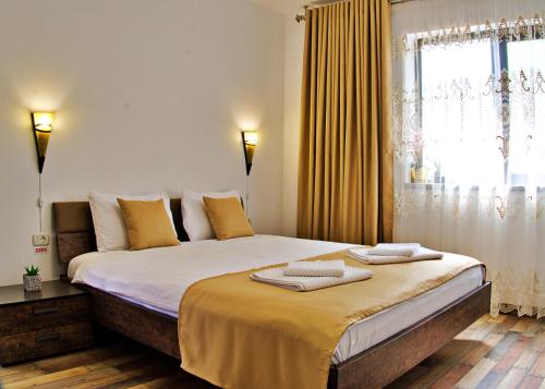Căsuța Lui Ion — hotel in Sulina