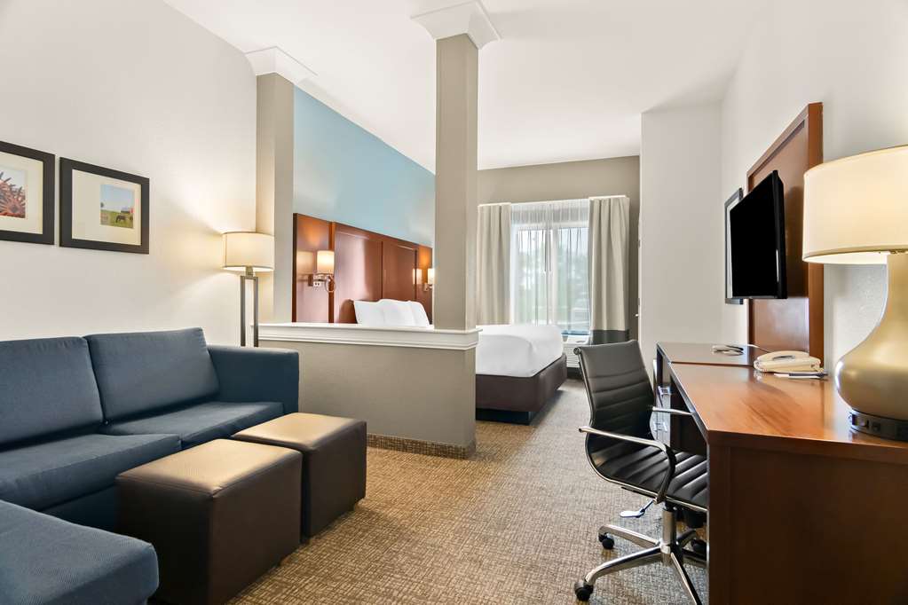 Comfort Suites Rensselaer near Fair Oaks - photo 24