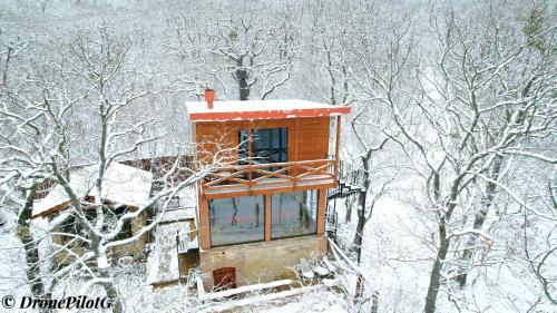 Villa Vejini cabin