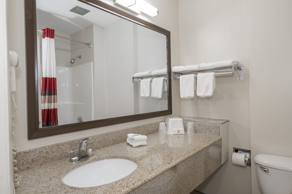 Red Roof Inn Bishopville - photo 19