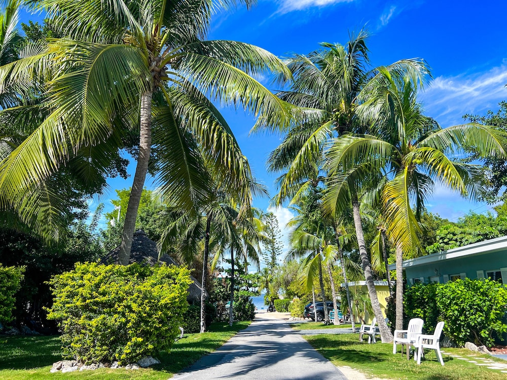 Sunset Cove Beach Resort - photo 191