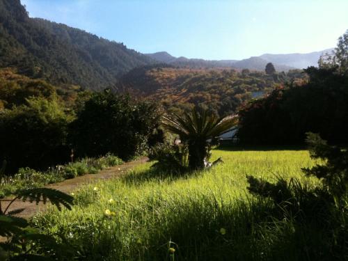 Finca La Hondura — La Orotava — photo 4