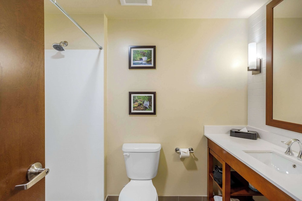 Comfort Suites Burlington near I 5 - photo 28