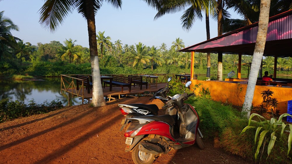 Om Lake Resort — Arambol — photo 2