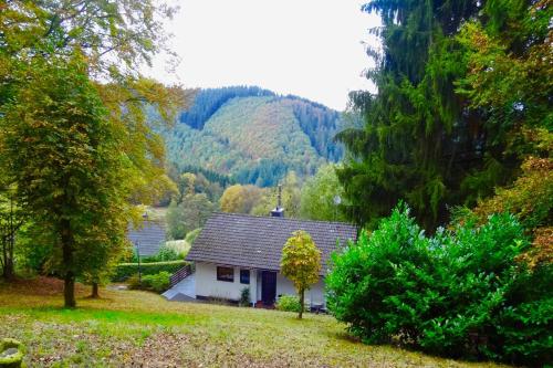Schöne Aussicht am Eifelsteig — Monschau — photo 2