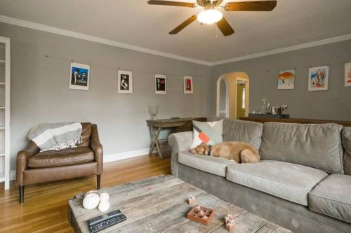 K9 Cottage MainLine — 4-Star Luxury Hotel in Berwyn, United States