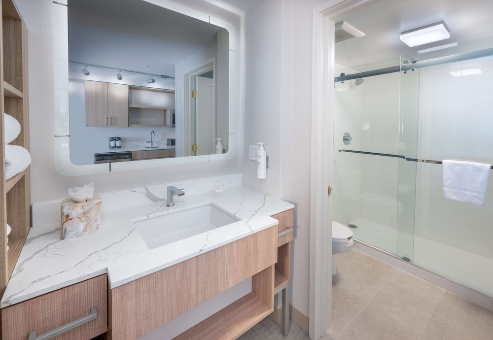 Homewood Suites by Hilton Atlanta Buckhead Pharr Road - photo 40