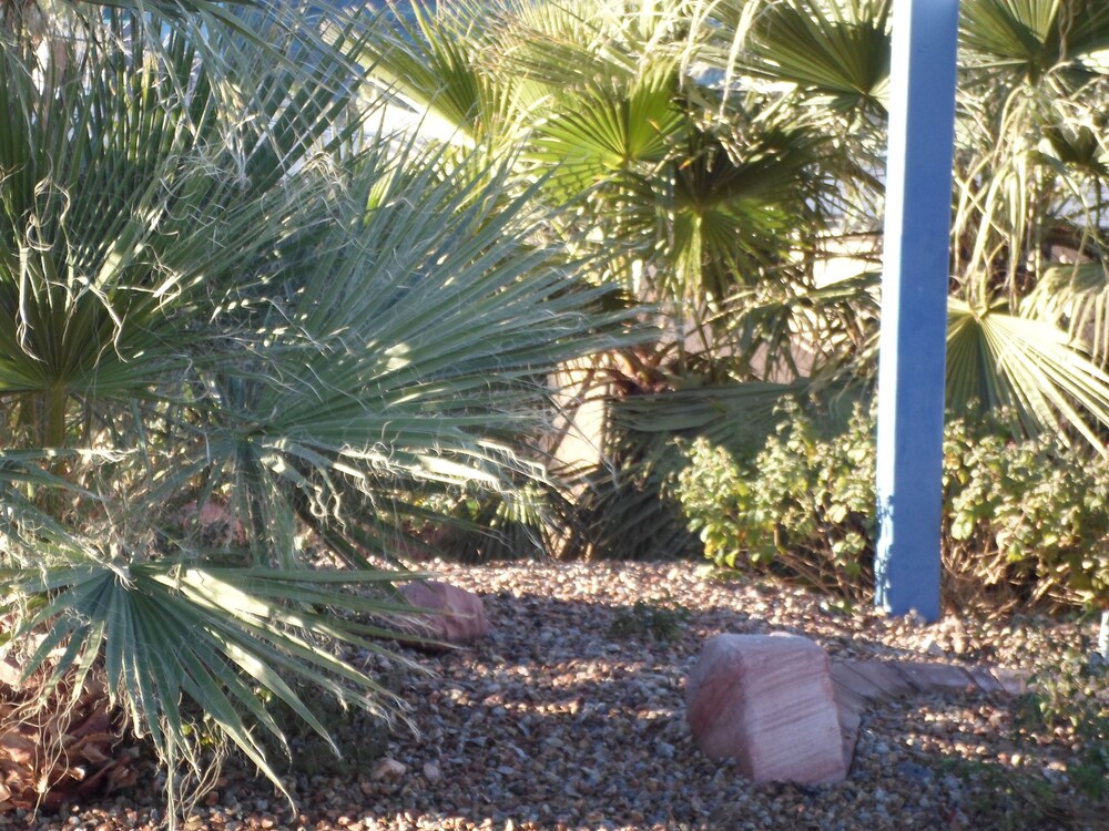 Motel 6 Las Vegas NV Strip - photo 52