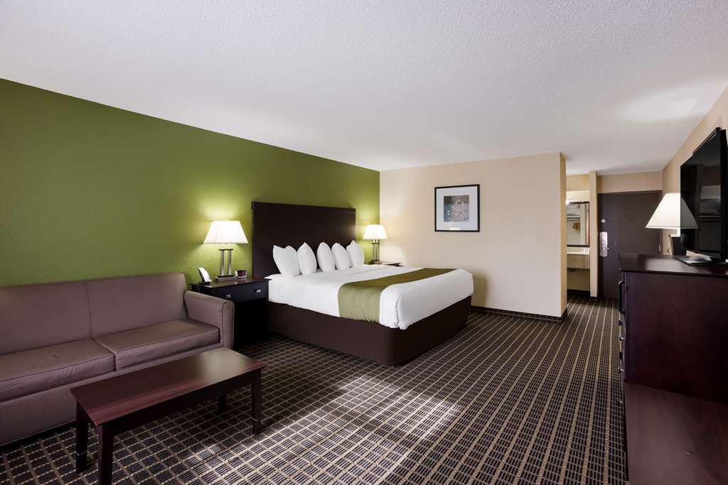 Quality Inn & Suites Big Rapids near University - photo 10