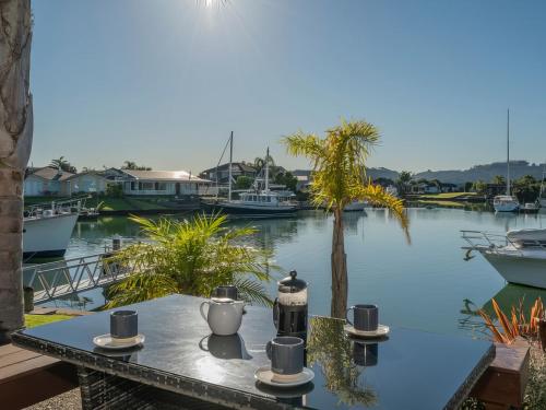 Hosts on the Coast Boost Morale on the Canal in Whitianga, New Zealand