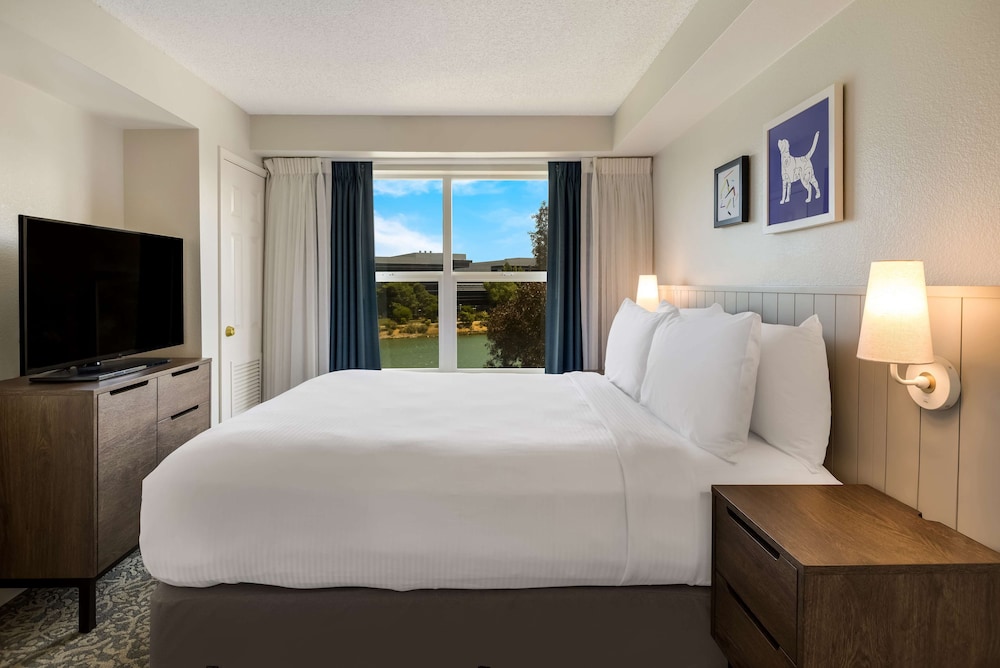 Sonesta ES Suites San Francisco Airport Oyster Point Waterfront - photo 12