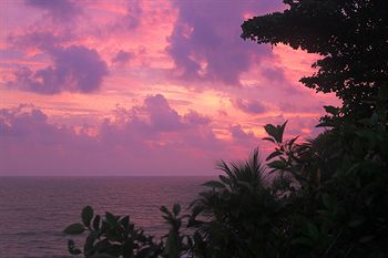 Magnolia Guest House